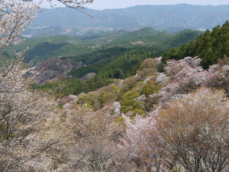f:id:staygreeen:20130410232440j:image f:id:staygreeen:20130410232440j:image