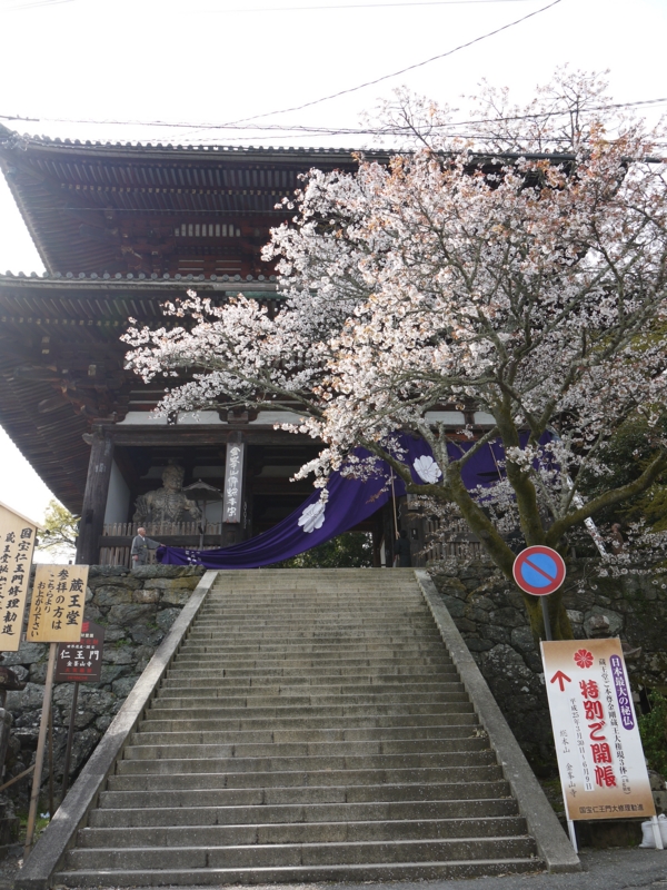f:id:staygreeen:20130410232456j:image f:id:staygreeen:20130410232456j:image