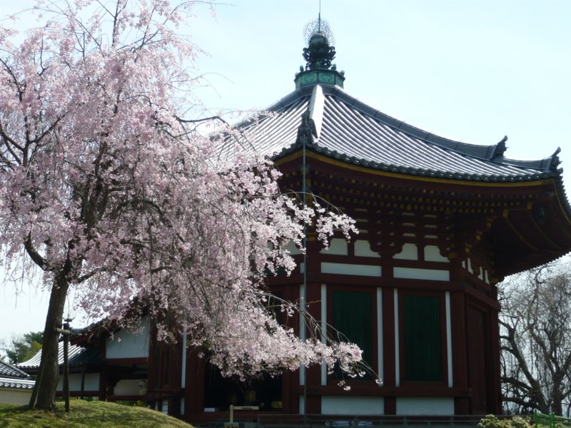 f:id:staygreeen:20130410232756j:image f:id:staygreeen:20130410232756j:image