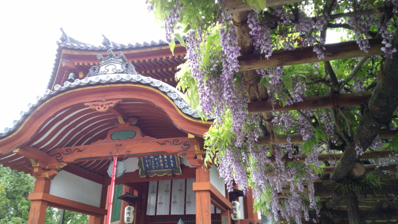 f:id:staygreeen:20130507221205j:image f:id:staygreeen:20130507221205j:image