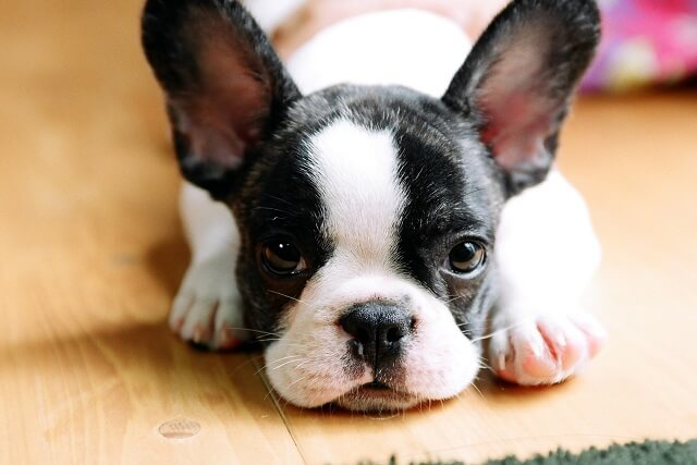 f:id:stayhappy:20201027202122p:plain f:id:stayhappy:20201027202122p:plain