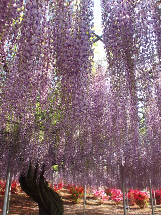 f:id:stayhere:20120505160626j:image:w360 f:id:stayhere:20120505160626j:image:w360
