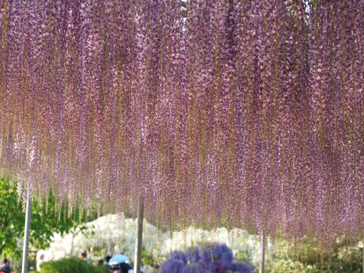 f:id:stayhere:20120505164358j:image:w500 f:id:stayhere:20120505164358j:image:w500
