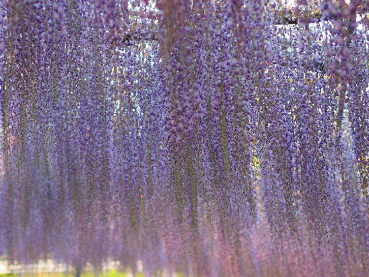 f:id:stayhere:20120505175532j:image:w500 f:id:stayhere:20120505175532j:image:w500