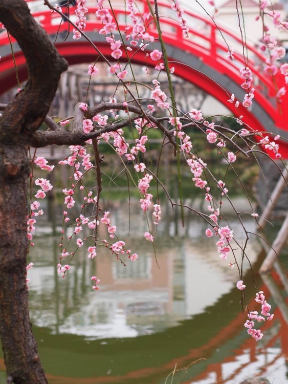 f:id:stayhere:20140301134540j:image:w460