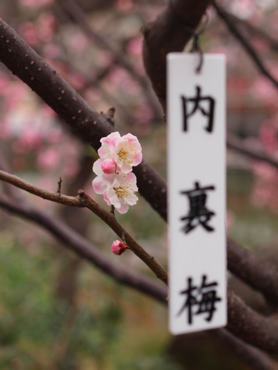 f:id:stayhere:20140301134615j:image:w460