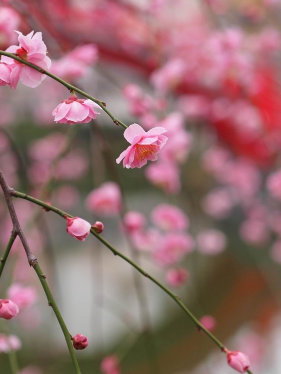 f:id:stayhere:20140301134729j:image:w460