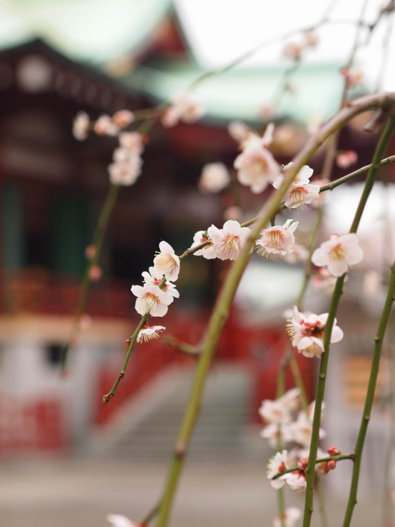 f:id:stayhere:20140301135958j:image:w460