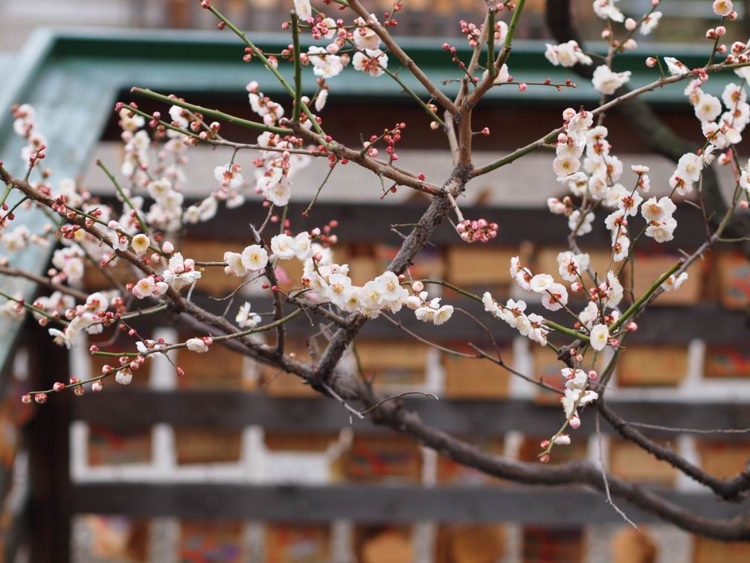 f:id:stayhere:20140301140348j:image:w540
