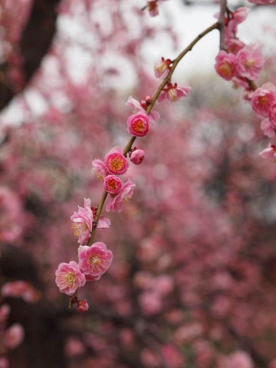 f:id:stayhere:20140301140854j:image:w460