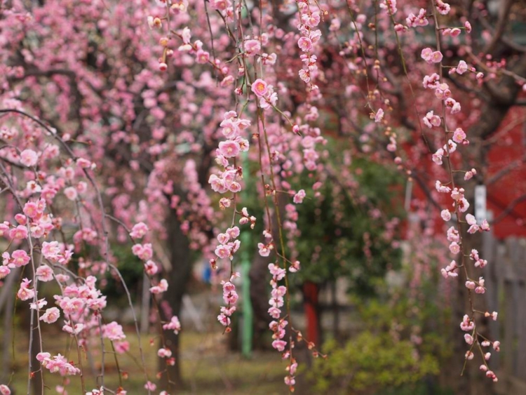 f:id:stayhere:20140301140924j:image:w540