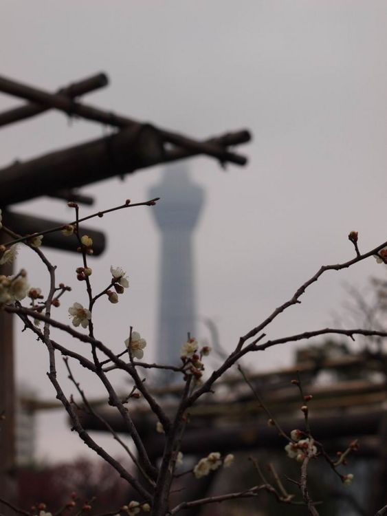 f:id:stayhere:20140301141711j:image:w460
