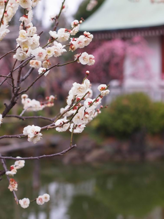 f:id:stayhere:20140301142031j:image:w460