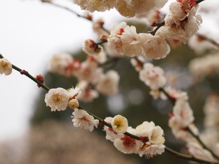 f:id:stayhere:20140301142238j:image:w540
