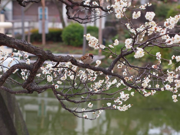 f:id:stayhere:20140301142535j:image:w540