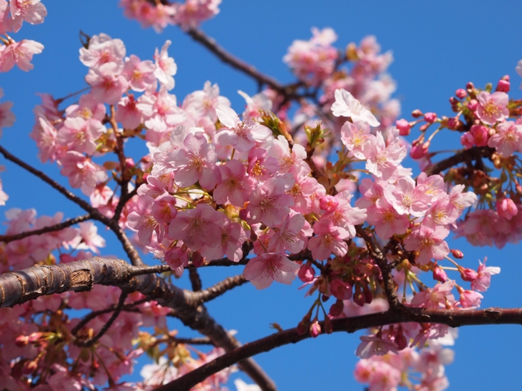 f:id:stayhere:20140308145937j:image:w540