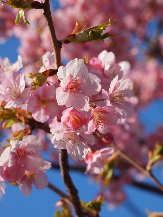f:id:stayhere:20140308150029j:image:w460