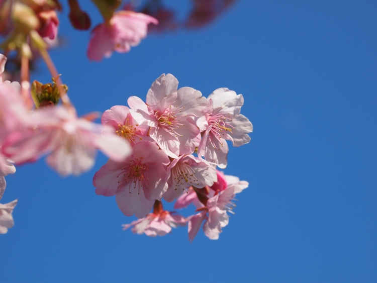 f:id:stayhere:20140308150115j:image:w540