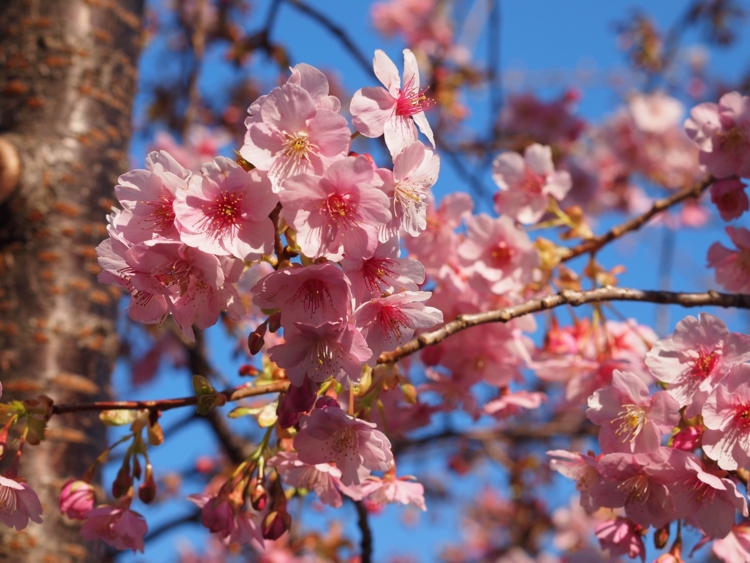 f:id:stayhere:20140308154007j:image:w540
