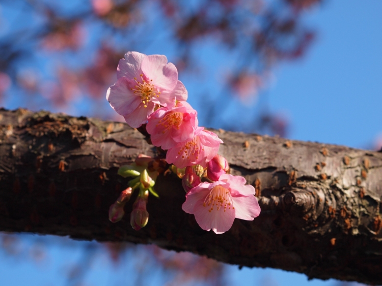 f:id:stayhere:20140308154145j:image:w540