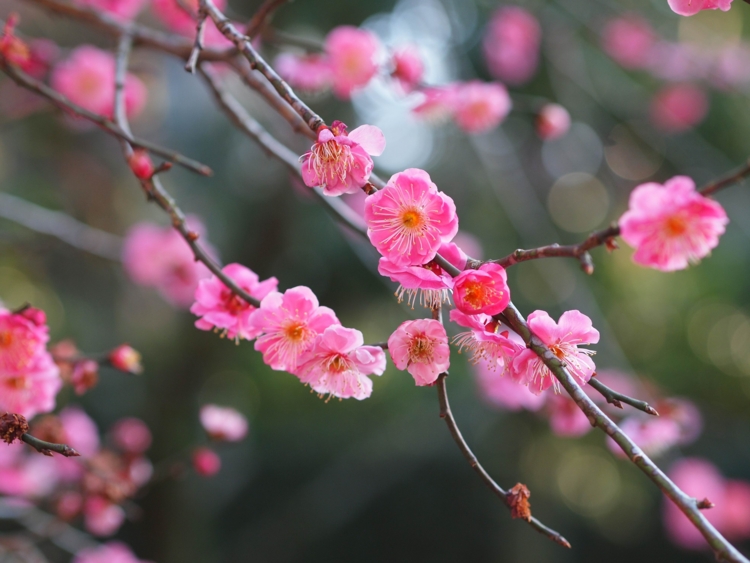 f:id:stayhere:20140308161154j:image:w540
