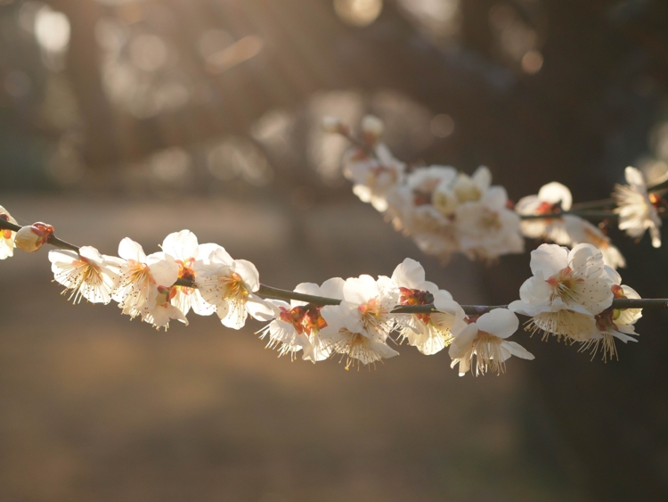 f:id:stayhere:20140308163009j:image:w540