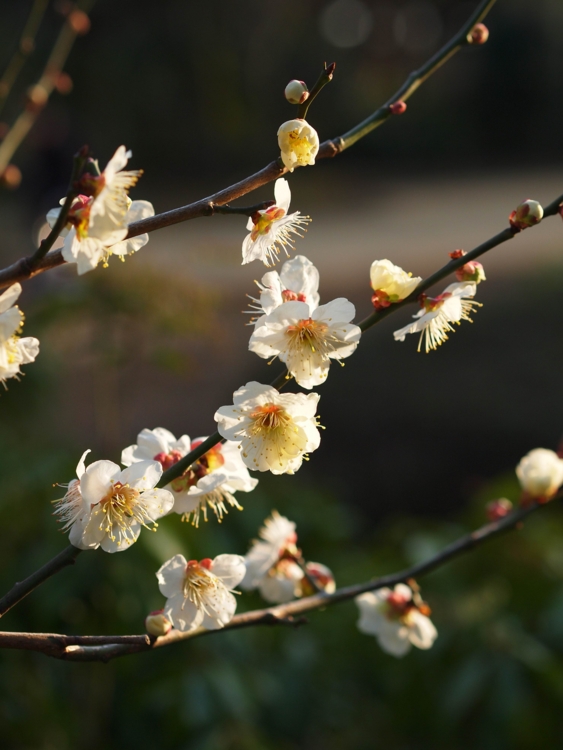 f:id:stayhere:20140308163209j:image:w460