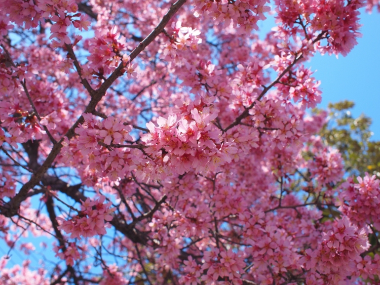 f:id:stayhere:20140322113311j:image:w540