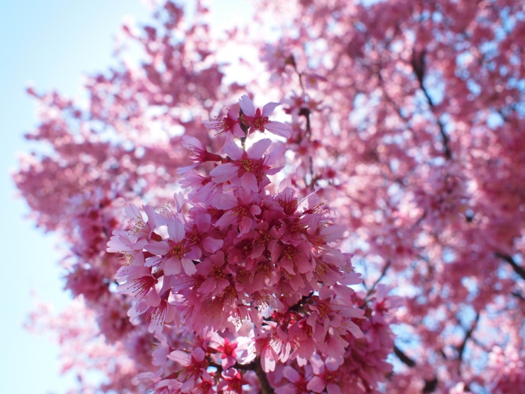 f:id:stayhere:20140322113347j:image:w540