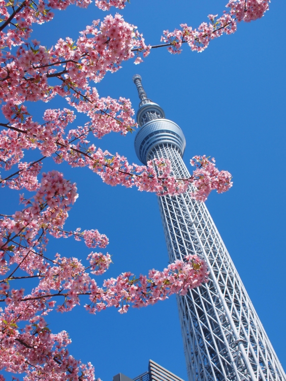 f:id:stayhere:20140322124944j:image:w460