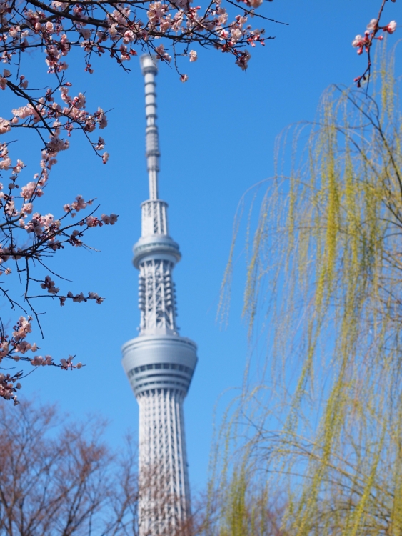 f:id:stayhere:20140322144732j:image:w460