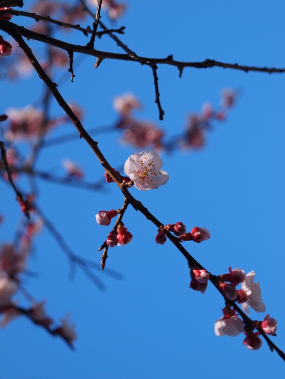f:id:stayhere:20140322144925j:image:w460