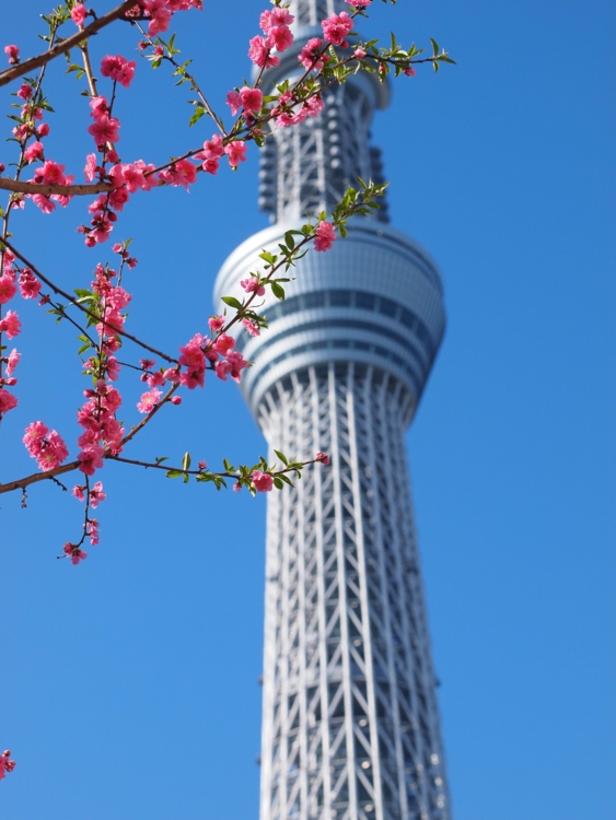 f:id:stayhere:20140322151432j:image:w460