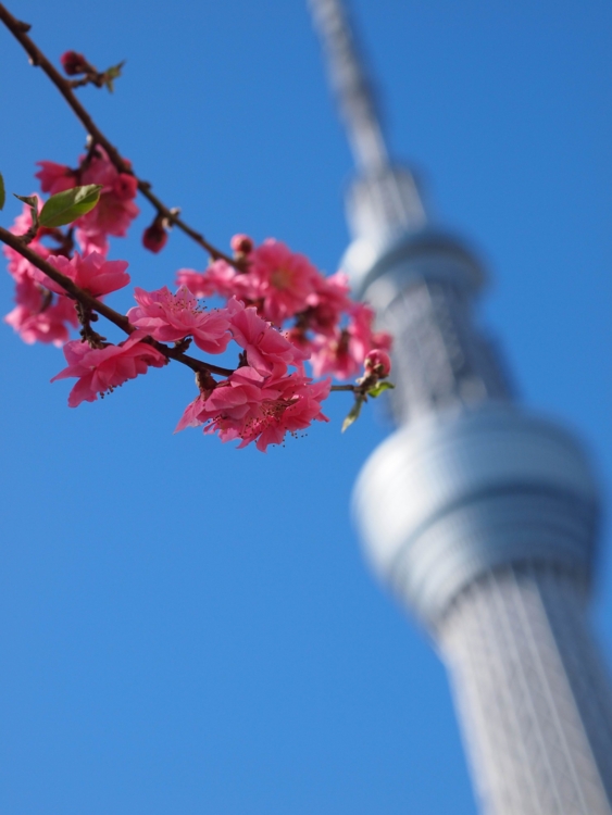 f:id:stayhere:20140322151514j:image:w460