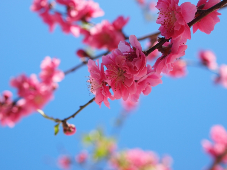 f:id:stayhere:20140322151559j:image:w540