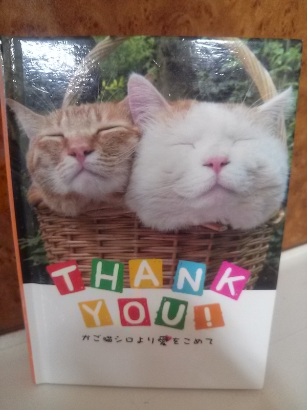 イメージ 3