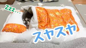 f:id:stds_blog:20210811131417j:plain