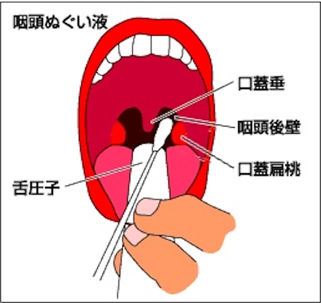 f:id:stds_blog:20211017205620j:image f:id:stds_blog:20211017205620j:image
