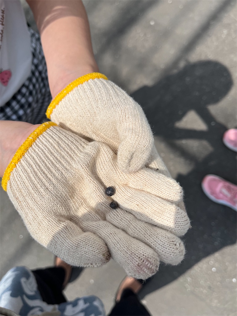 f:id:stds_blog:20250519105702j:image