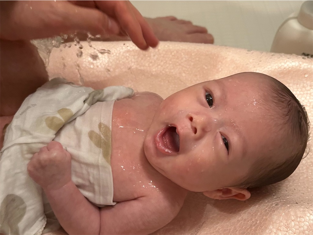 f:id:stds_blog:20251223150541j:image f:id:stds_blog:20251223150541j:image