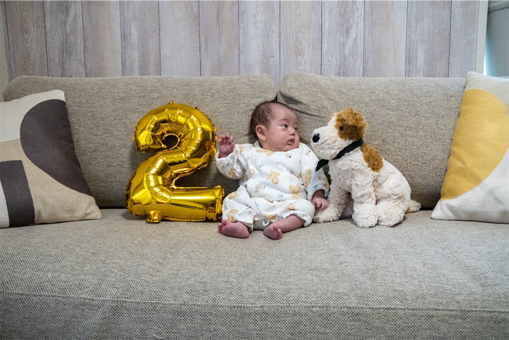 f:id:stds_blog:20251223150558j:image f:id:stds_blog:20251223150558j:image