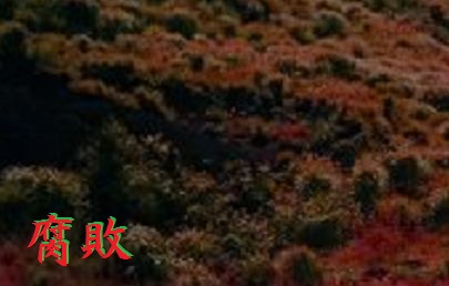 f:id:stdsts:20201230021536j:plain