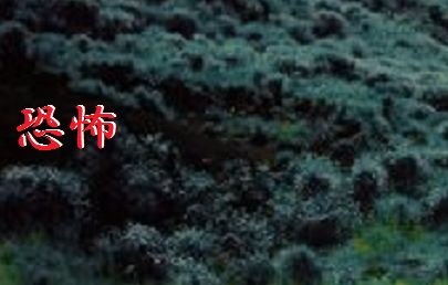 f:id:stdsts:20210109235604j:plain