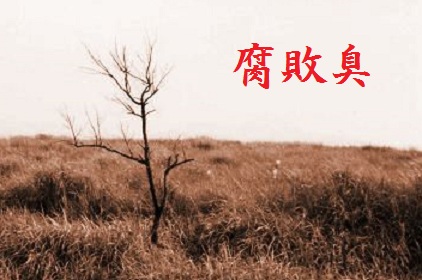 f:id:stdsts:20210706235512p:plain