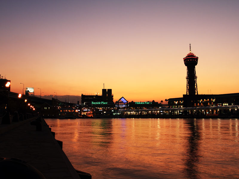 f:id:steady_by_motty:20111106220943j:image f:id:steady_by_motty:20111106220943j:image