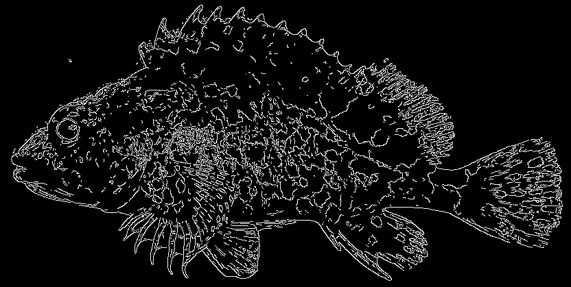 エッジ検出 - Edge detection - JapaneseClass.jp
