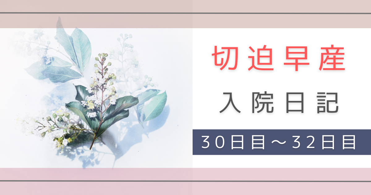 切迫早産　入院　転勤族の妻　不安　体験記録