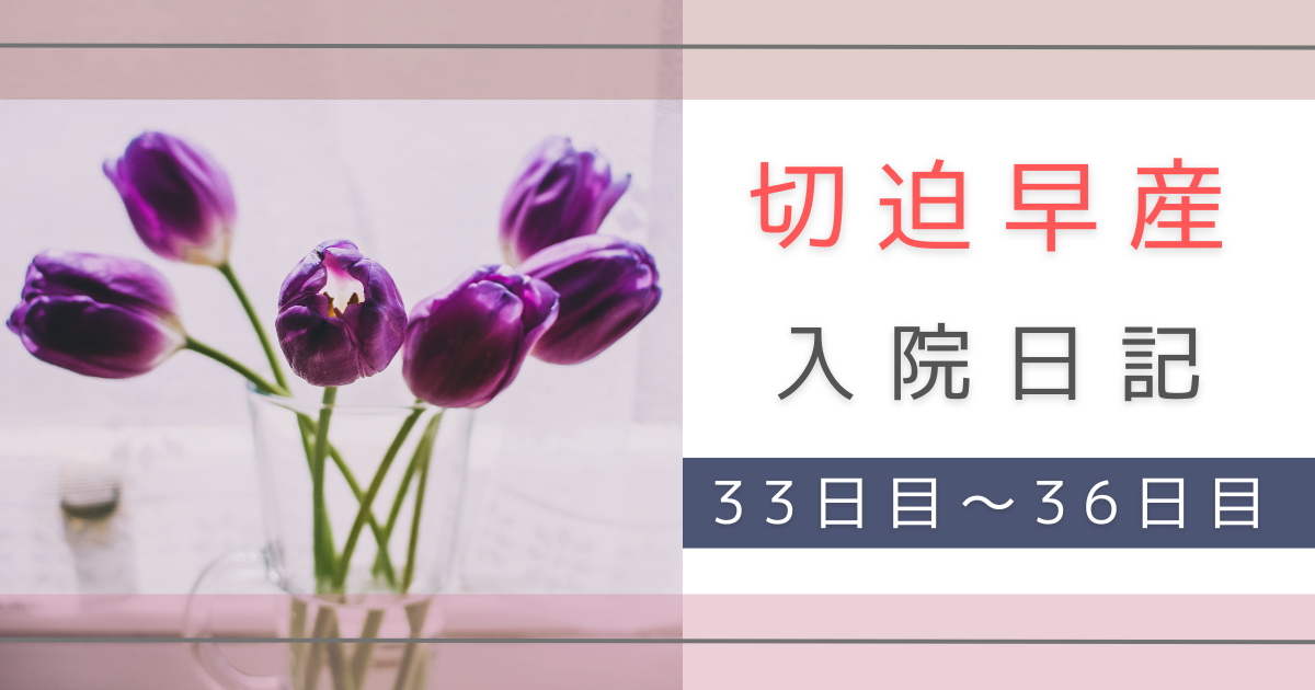 切迫早産　入院　転勤族の妻　不安　体験記録