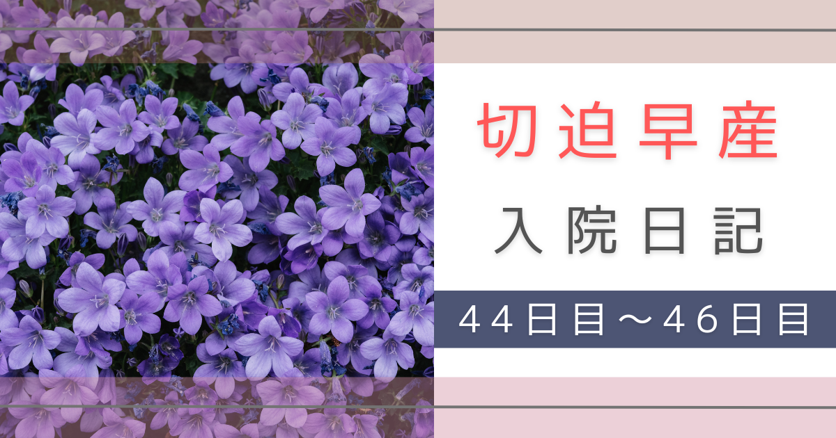 切迫早産　入院　転勤族の妻　不安　体験記録