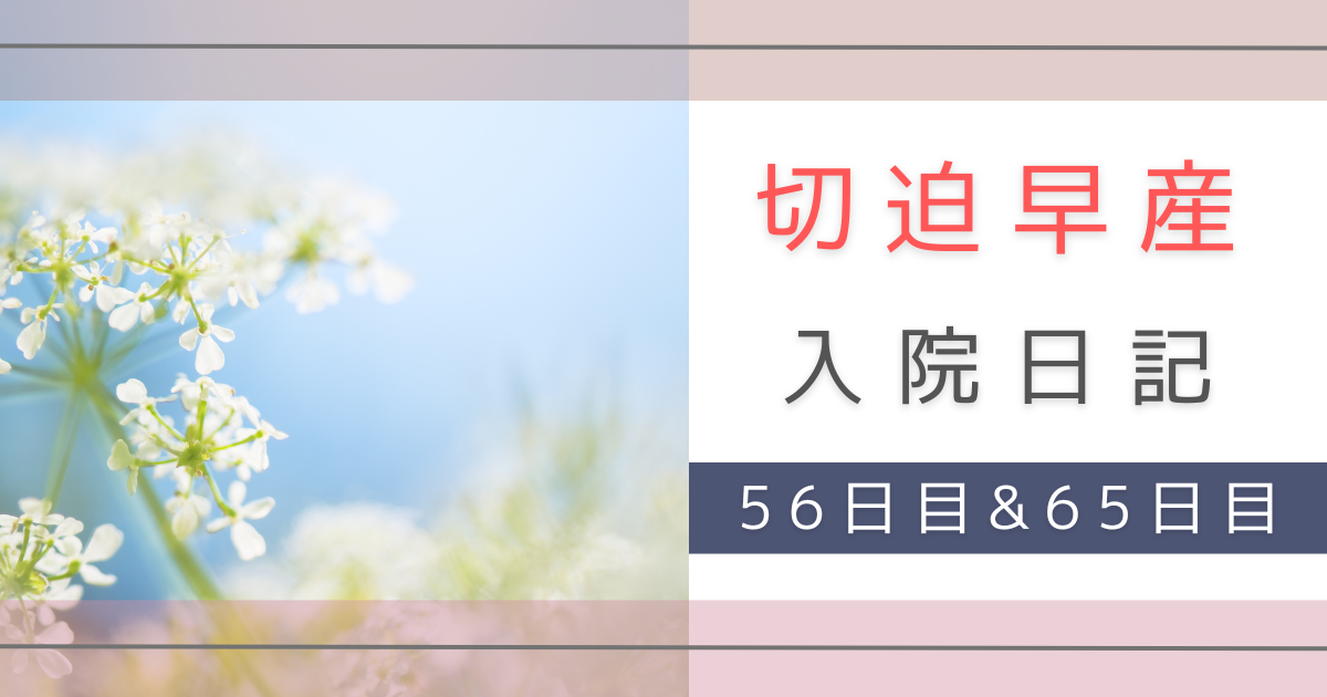 切迫早産　入院　転勤族の妻　不安　体験記録